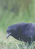 2022-10-01/799f41f0603a1173ea3462154c3da5ab_286b1eecbe0a20ed44502d5931fdea5f