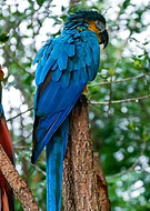 2022-10-05/16deb7d7e018f7e636b76f9b444ffafc_fbe5b0dea54347c40f6c939b7aa3924d