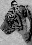 2022-10-05/2378e3e35a5d630d9f02037d7db7d62a_fd19e1b65dab855b4b0f37b11874443d