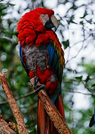 2022-10-05/df5203503f3608eb628059196b7aebcb_c29475ae778babd352002ec80367e320