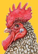 2022-10-06/13a7b8ce83d84af90be60f8796ca44d4_891147385fa75fa6806a1df2ee85dd85