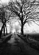 collection-preview-1