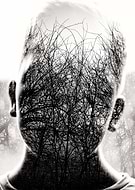 collection-preview-3