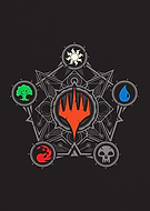 collection-preview-1