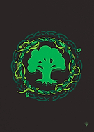 collection-preview-3