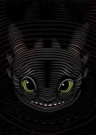 collection-preview-1