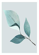 2022-10-26/41ba3e5eff39cbcc42b600518dd06845_8f03c945104432fb6acc85c501164df0