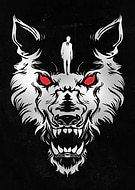 collection-preview-3