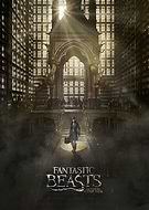 collection-preview-0