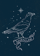 collection-preview-1