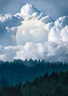 2022-11-03/f97433167bc43dd1b240ada793169eb3_6f5d246dc8c441b9bd6cbac61707a45b