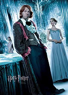 collection-preview-3