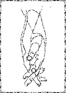 2022-11-06/7b14120dfe9403905ffc32c82e497308_fda8973a5876abf7cd57f7a12db8c2b0