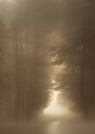 2022-11-08/7a74397439d092d8e698e3346942130f_3e2bedbbb9330fbea57e409713847d42