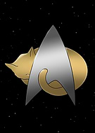 collection-preview-3