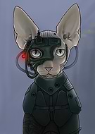 collection-preview-2