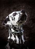 2022-11-10/a79f94796c1673ffb8a18264da436e49_090a4b319261c58aec318634e20fbd26