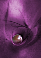 2022-11-10/ce156b4a3b5670bf5def62715c47ba4b_e8aa9014312de4062eadf6194a6e2d1b