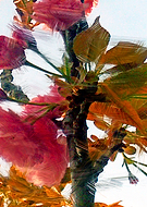 2022-11-13/f4d49fe61ed8face70b3a392a3d79ce4_bb52e75eb2d4af0c1a9e65ee2d807d3c