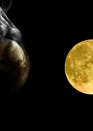 2022-11-13/f922025bac8dba5bc40841b34fa6178a_d09851c203c9f530c36d507f0d1ca041