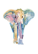 2022-11-14/dc26f40dc47906155d04e2e3f4e3007a_633fcf603b4ba5ac84ddf3a94448a0f6