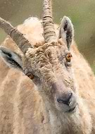 2022-11-15/4c544e2b30074324895fc44f210ffcda_442eea005d3d919e578aecc7f9434b42