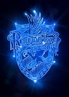 collection-preview-1