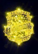 collection-preview-3