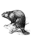 2022-11-19/2c2437cf784b1f53ec507f31811b7b8b_044d48655e4d14deb7a8f3bfaac6e5ce