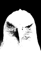 2022-11-21/98637abf0294a476ecf7185e1af31c26_f05a67cfc2cf841e50c36ec05e70eb91