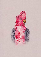 2022-11-24/37466476ffe7d6975c14f4227747517a_4f41206cd0fcb1449863fa8588a88b25