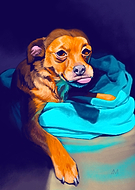 2022-11-24/fa10e8ae6db59d41800aabf9495f4068_1481e5eb2cfe15e4ce1f24841e0378dd