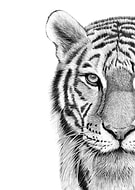 2022-11-30/25d8257859da641f44058a2ec90913e6_c6b800de896a42a04e50f5384315bcbd