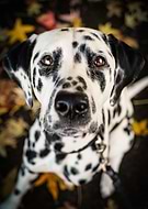 2022-12-02/9f570ba43f87f91c9857cb2c770fcf36_f248406518c1d4b4e88140744315d856