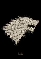 collection-preview-1