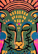 collection-preview-2