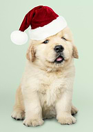 2022-12-07/85afc3270fd791917ed7e338149ad2ae_28f57b52f144d997e3913c4d119a822f