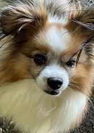 2022-12-07/9d3aa8bb1dc9a2fe0117c08f5818bc0f_195fafd0aec79674653f26ba4bec32cf