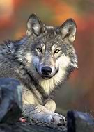 2022-12-09/ad6d90e7af982cf93359968e5e89c140_bd035bfe47d99f761c079e8899871e69