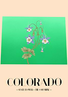 2022-12-11/bafc5e4206c7ed46d7525312be5f747d_2b46a056f2afd412326d816f52f0d1f3