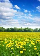 2022-12-14/8ed29467cacc63fdbb0aaf51232c0a6c_6551ba2233859330360939f50cf7903a