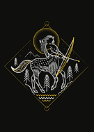 collection-preview-2