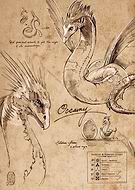 collection-preview-1