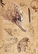 collection-preview-0