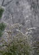 2022-12-14/f4133aa3ea3dc639f5e986ba6ee7a616_7fd1b8f277d81abdfae616a4e745f032