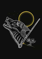 collection-preview-3