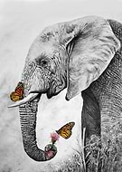 2022-12-15/dee28b3a7a88e8fbe98c8a1175e91843_49060cb77929212189e29f78b53f59da