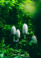 2022-12-23/ab1ee2bc237db0a0e5b0eedc683f2d38_ee04b857a876631d36c41876bd68a4ff