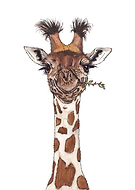 2022-12-26/0543ebe8aeccd223a1b8dae66c97969b_c9f66d452d1fd7d4fd05310ee6cde71c