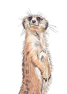 2022-12-26/9eb47c2fb1ae9f36a6699e7429143b79_36d5cf4031f06b6a74175c9fe9281f90